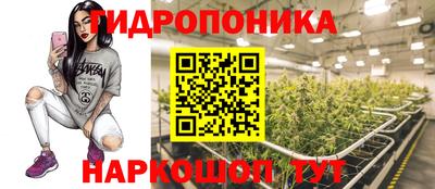 соль ск Пенза
