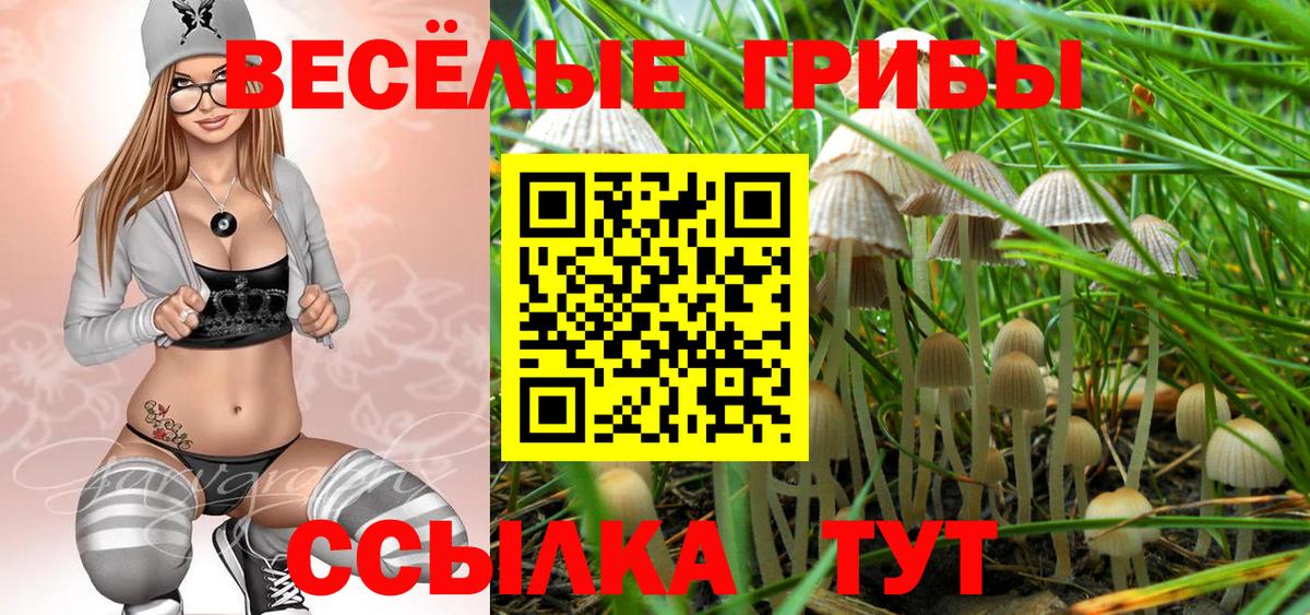 Галлюциногенные грибы мухоморы Новый Уренгой